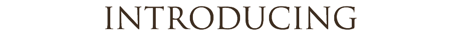 INTRODUCING